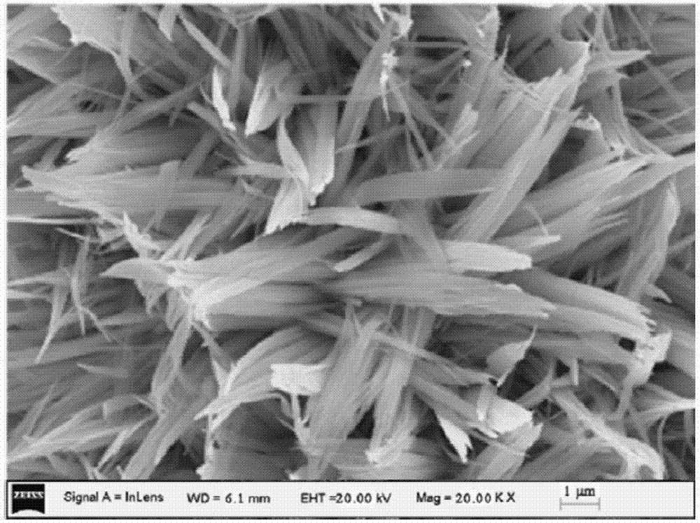 一种碳化钨纳米阵列材料、其制备方法及用途与流程