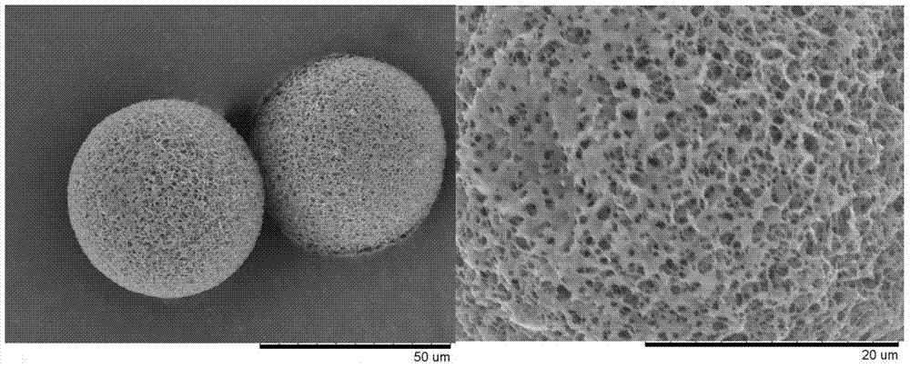 一种有机/无机杂化纳米纤维载药微球的制备方法与流程