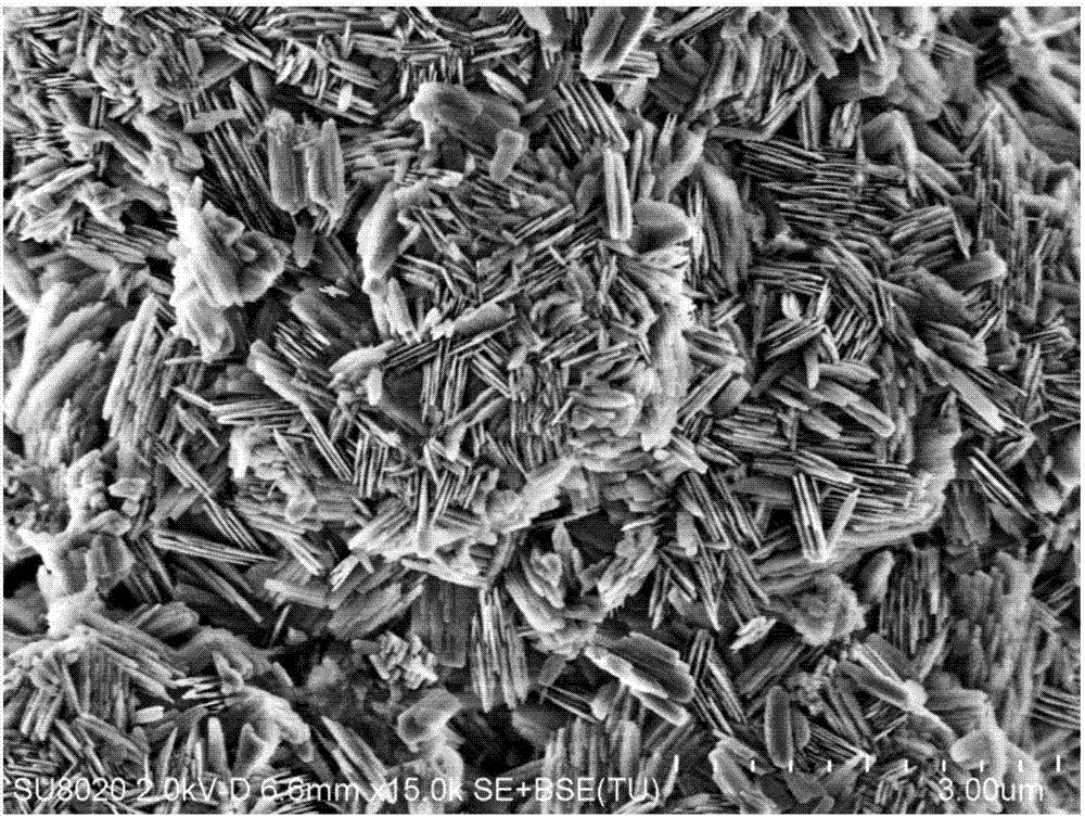 一种丝光沸石分子筛、其制备方法及应用与流程