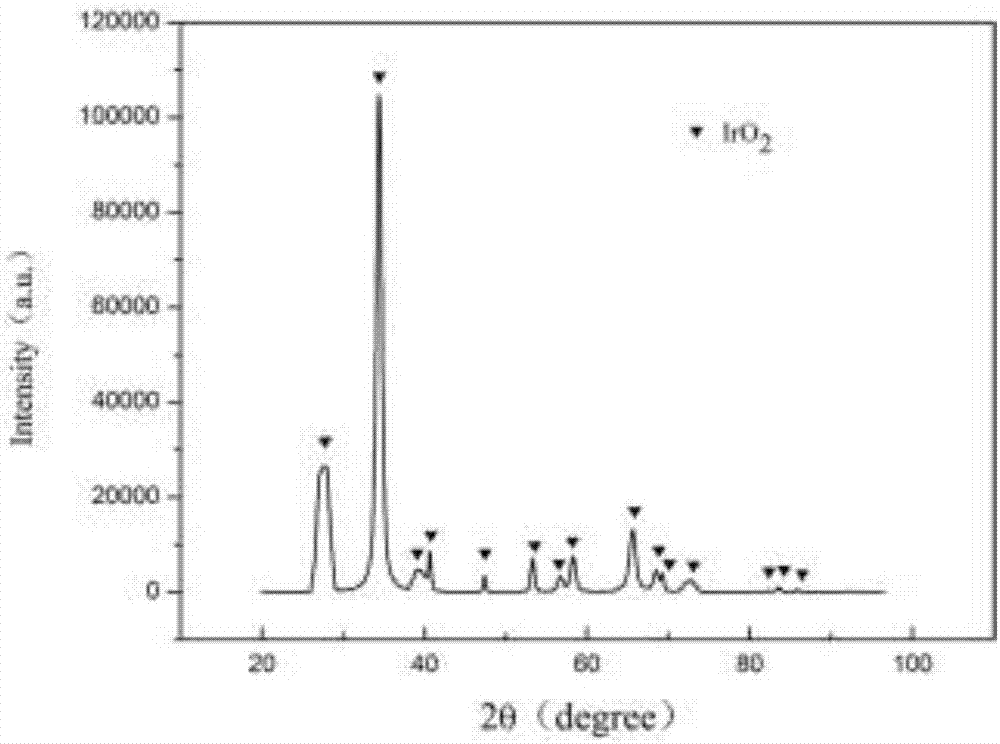 一种大比表面IrO2的制备方法与流程