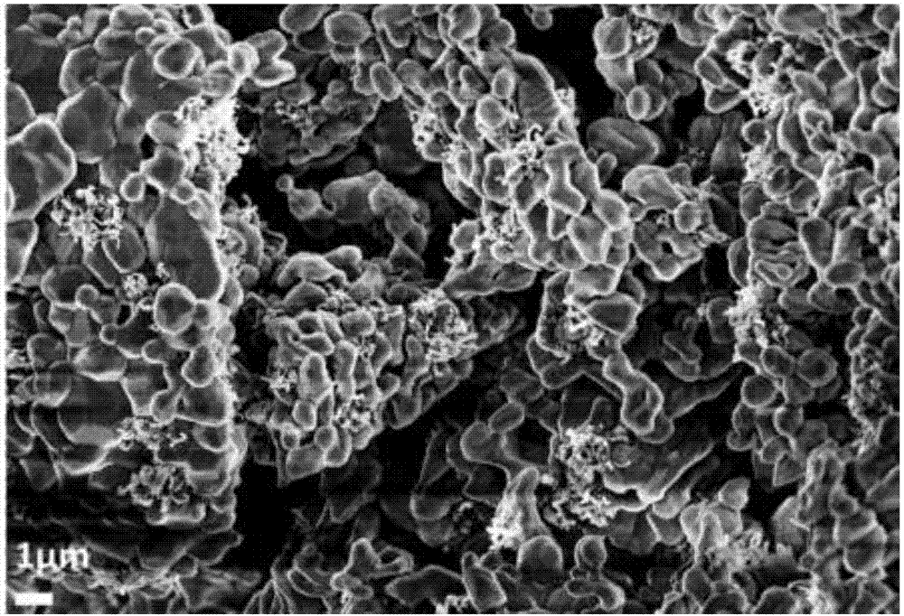 陶瓷基碳纳米管复合膜的制备方法与流程