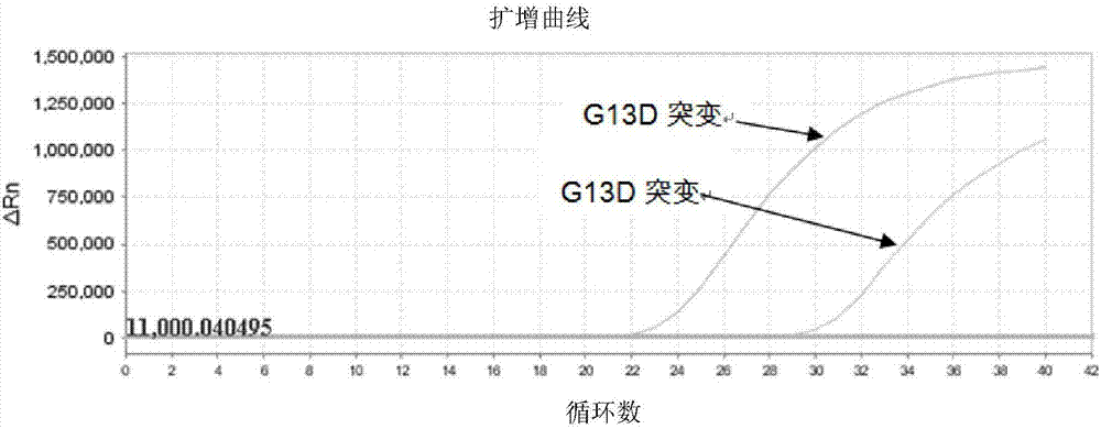 一种KRAS基因突变检测的引物探针组合及其应用的制作方法