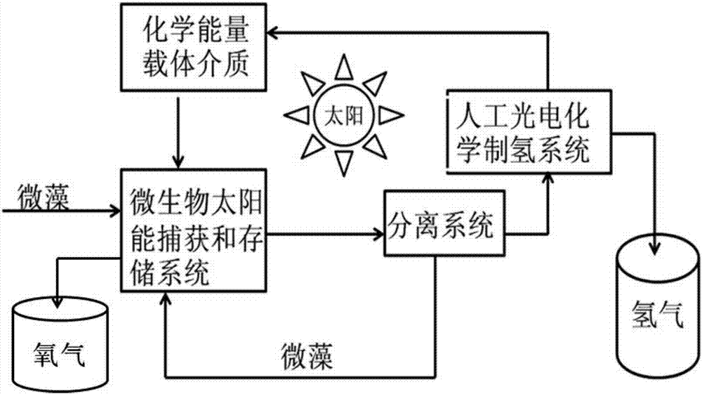 光合作用与(光)电催化联用系统分离式分解水制氢方法与流程