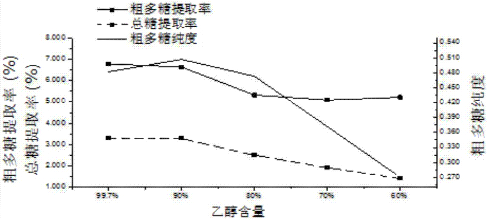 一种提取洋葱多糖粗提物工艺的制作方法