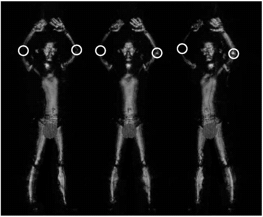 一种毫米波成像中人体姿态精确识别方法与流程