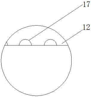 一种新型无土栽培装置的制作方法