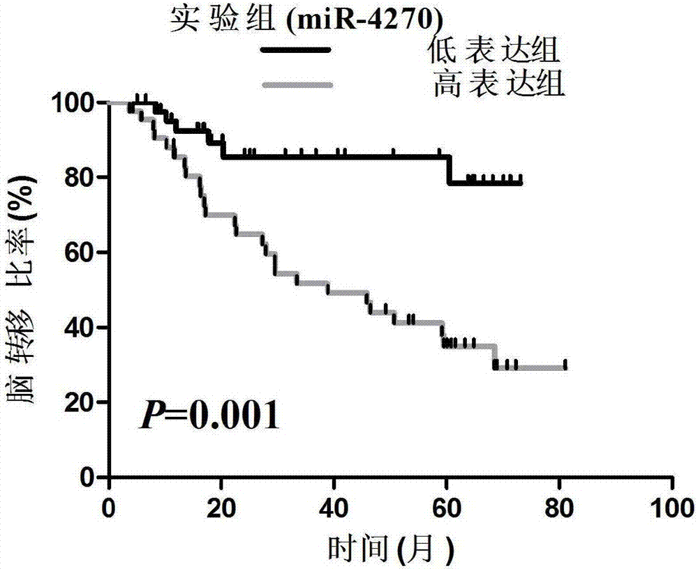 预测肺癌脑转移分子标记物miR-4270及在药物和诊断试剂盒中的应用的制作方法