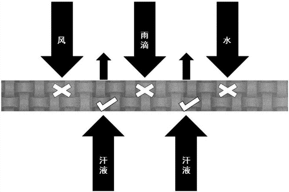 一种具有螺旋状排布的亲水疏水复合纤维及其制备方法和应用与流程