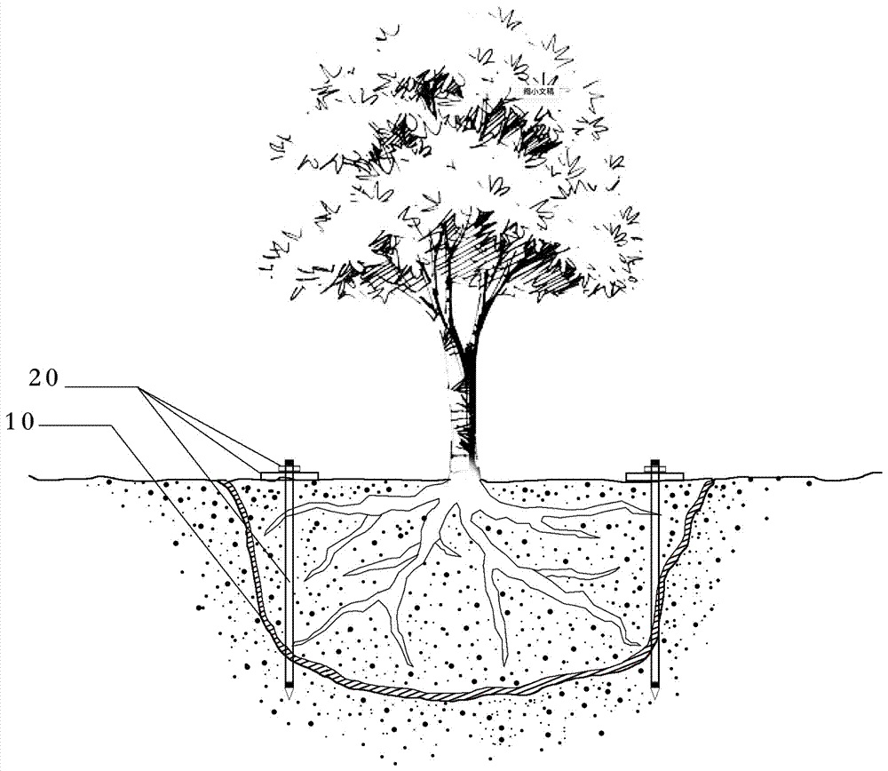 一种植物根系地下稳固系统及施工方法与流程