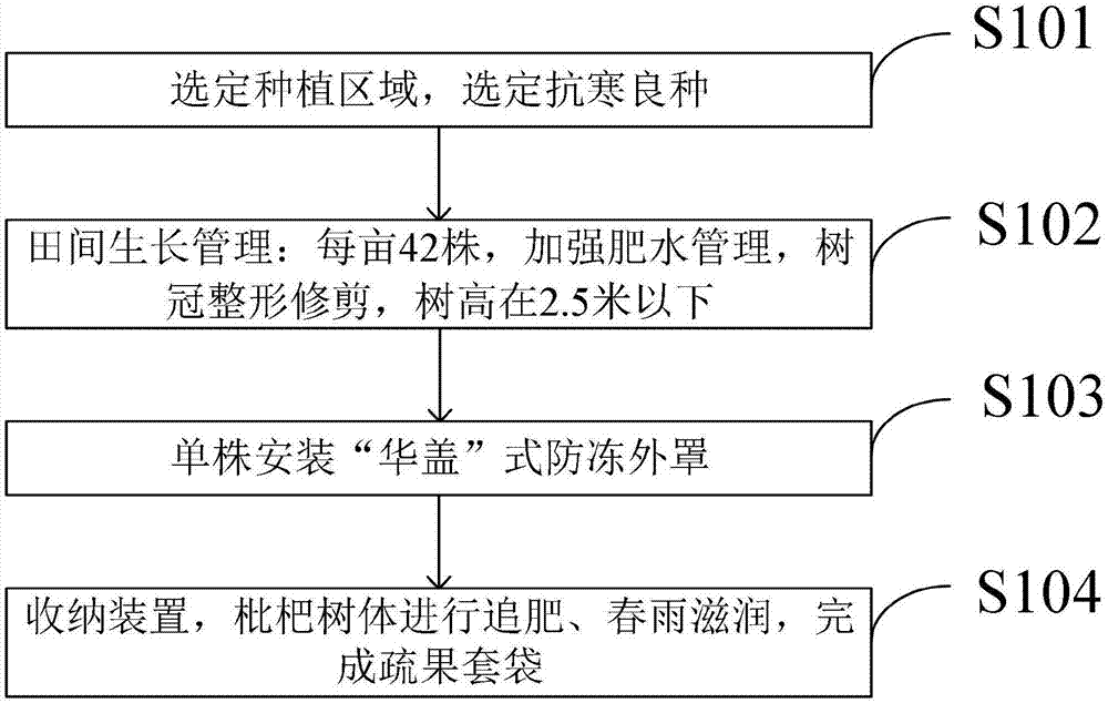 一种适宜山地枇杷果园防冻栽培管理方法与流程