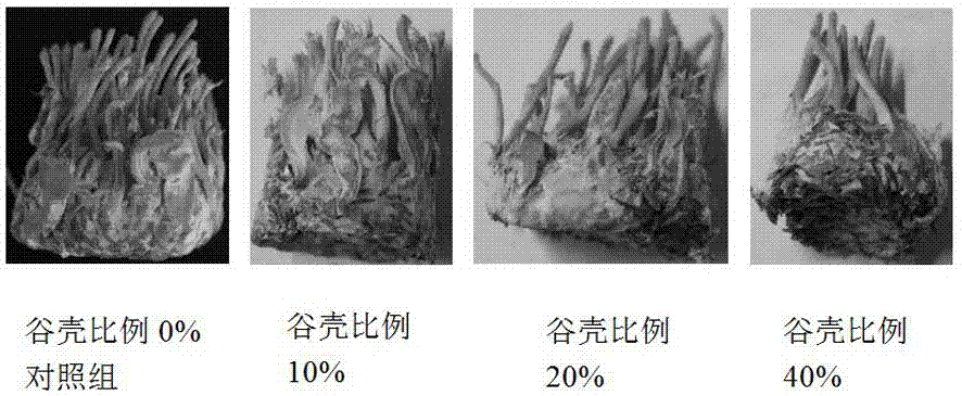 一种高产优质蛹虫草栽培培养基及其栽培方法与流程