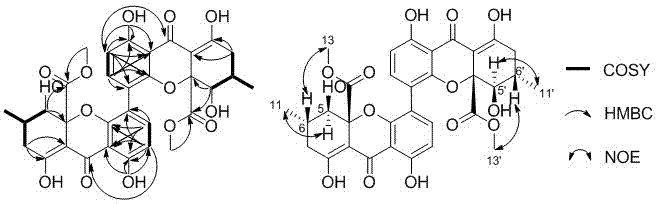 源于草酸青霉的4-4’异构化黑麦酮酸D在食管癌方面的应用的制作方法