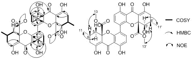 源于草酸青霉的4-4’异构化黑麦酮酸D在宫颈癌方面的应用的制作方法