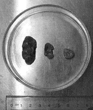 一种单细胞测序筛选成纤维细胞标记分子的方法与流程