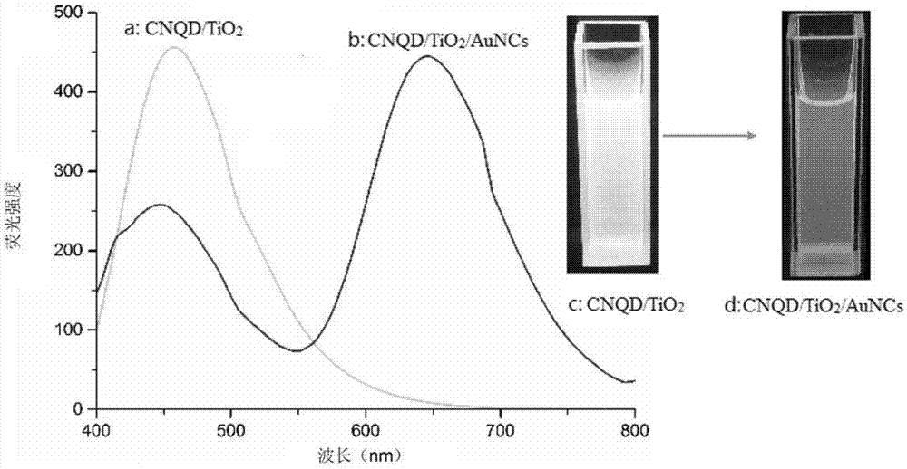 一种比率型CNQDs TiO2 AuNCs复合荧光微球的制备方法及其应用与流程