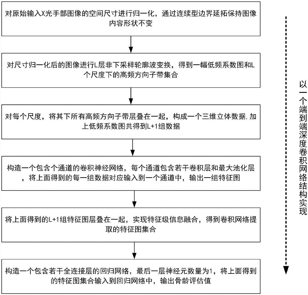 基于非下采样轮廓波变换和卷积神经网络的骨龄评估方法与流程