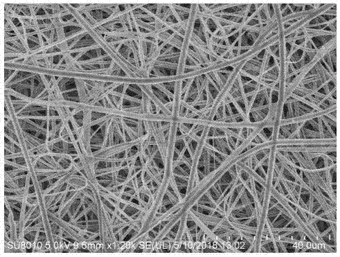一种钴原子锚定在碳纳米纤维上的钴单原子催化剂及其制备方法和应用与流程