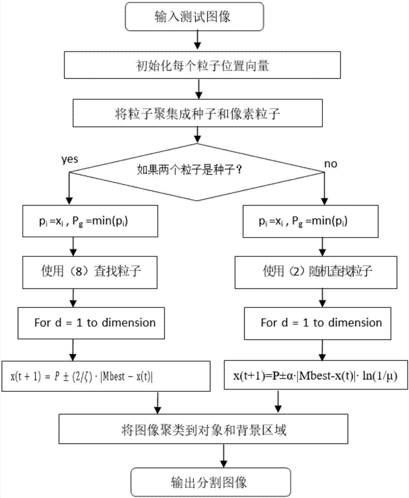 一种基于虫洞行为粒子群优化算法的脑图像分割方法与流程