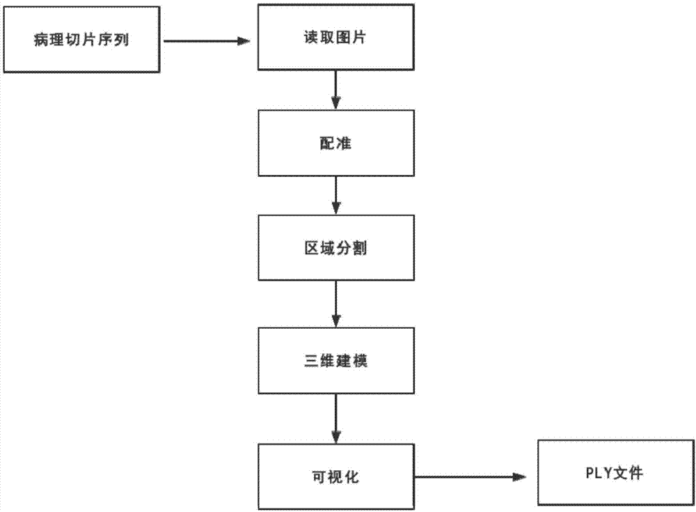 一种病理切片的3D重建方法及其装置与流程