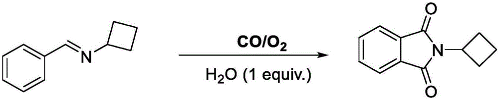 利用亚胺为起始原料一步构建N-环丁基邻苯二甲酰亚胺的方法与流程