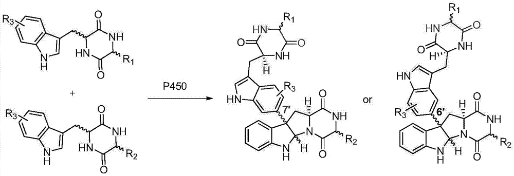 一种C3-芳香型吡咯并吲哚类生物碱及其合成方法与流程