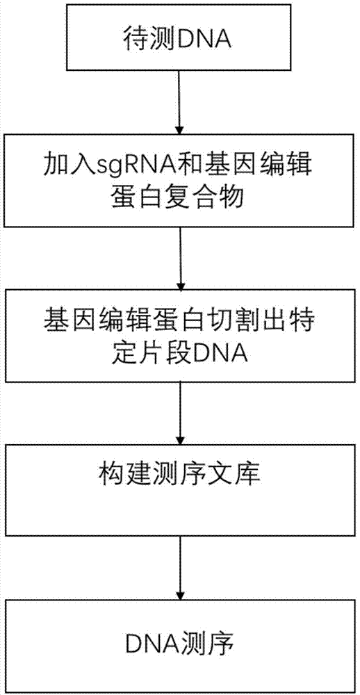 一种捕获基因组特定DNA片段的方法与流程