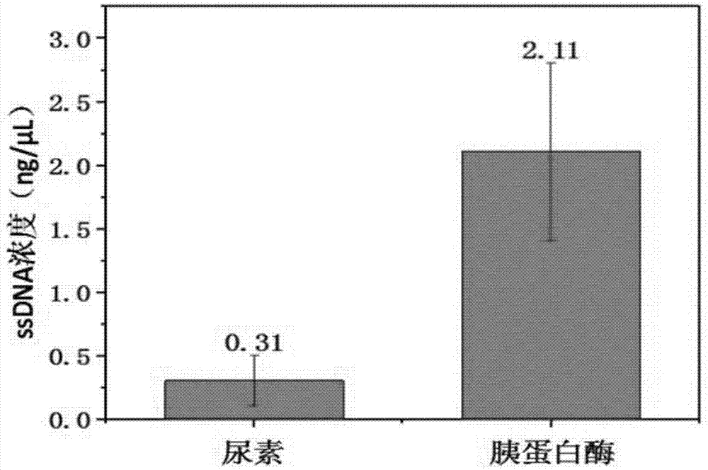 一种蛋白质核酸适配体的筛选方法与流程