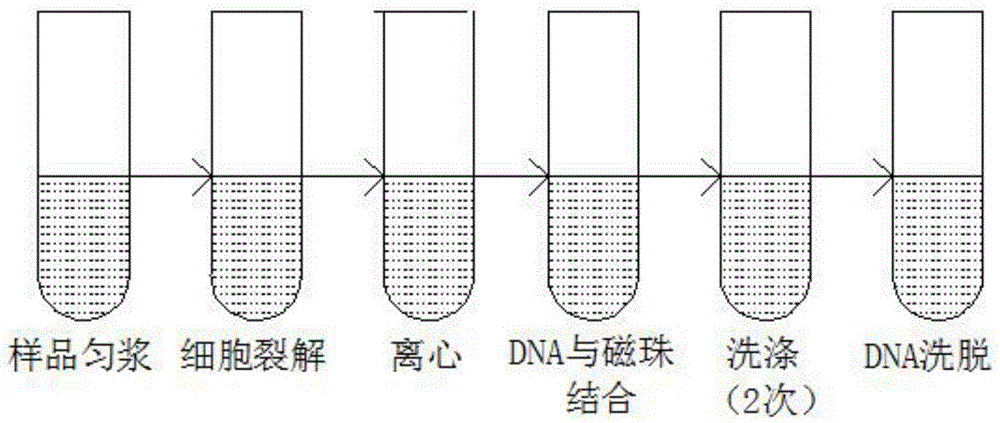 一种磁珠法提取dna的试剂盒及提取方法与流程