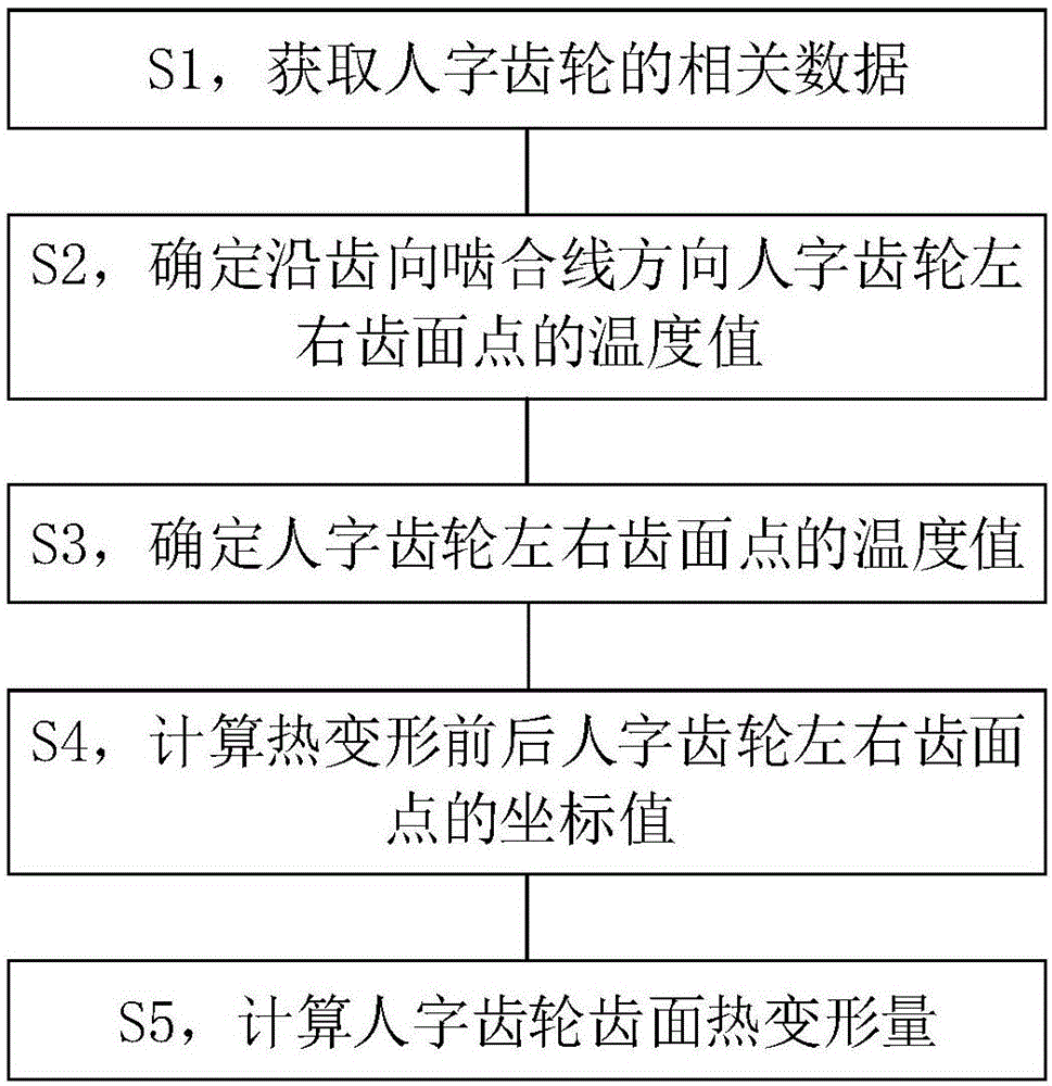 一种人字齿轮齿面热变形量的计算方法与流程