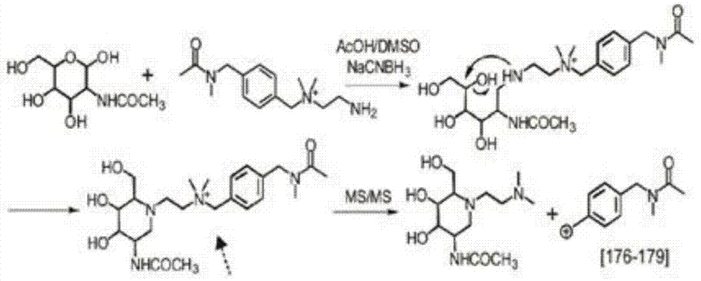 用于多糖分析的一种同位素标签试剂的制备和应用的制作方法