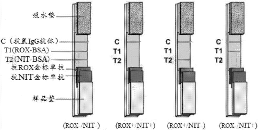 一种洛克沙胂和硝苯胂酸双联检测试纸的制作方法