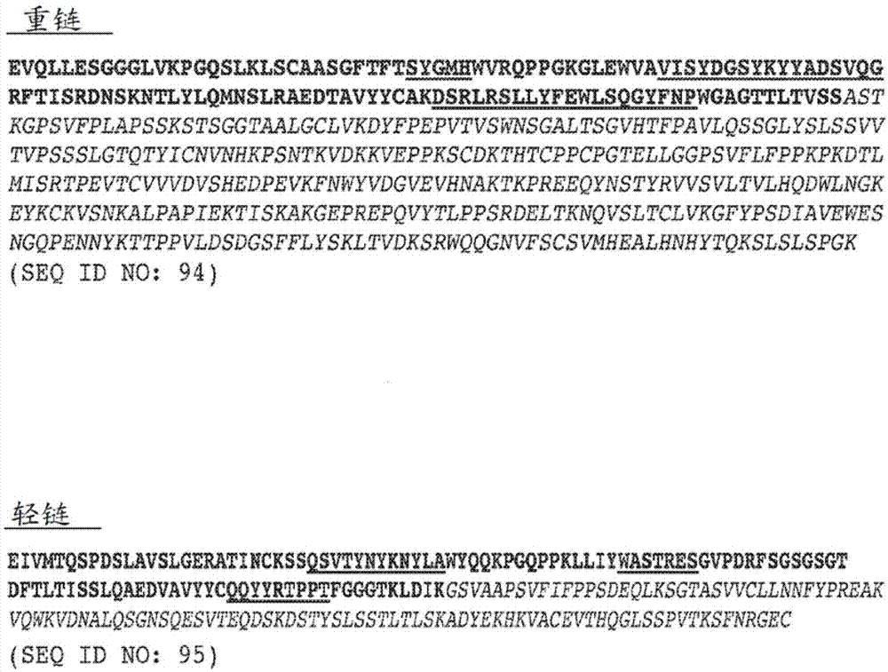 流行性感冒抗体分子制剂的制作方法