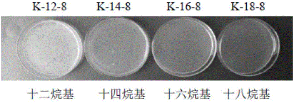 一种聚季铵盐类聚合物乳液抗菌剂及其制备方法和应用与流程