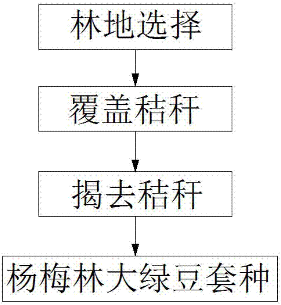 一种提高杨梅人工林的固碳方法与流程