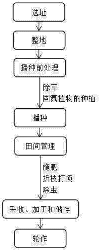 一种生态种植前胡的方法与流程