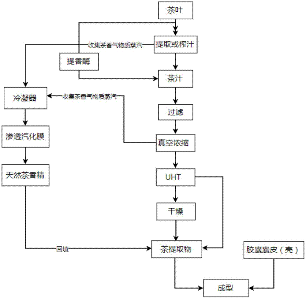 一种茶提取物胶囊及其制备方法与流程