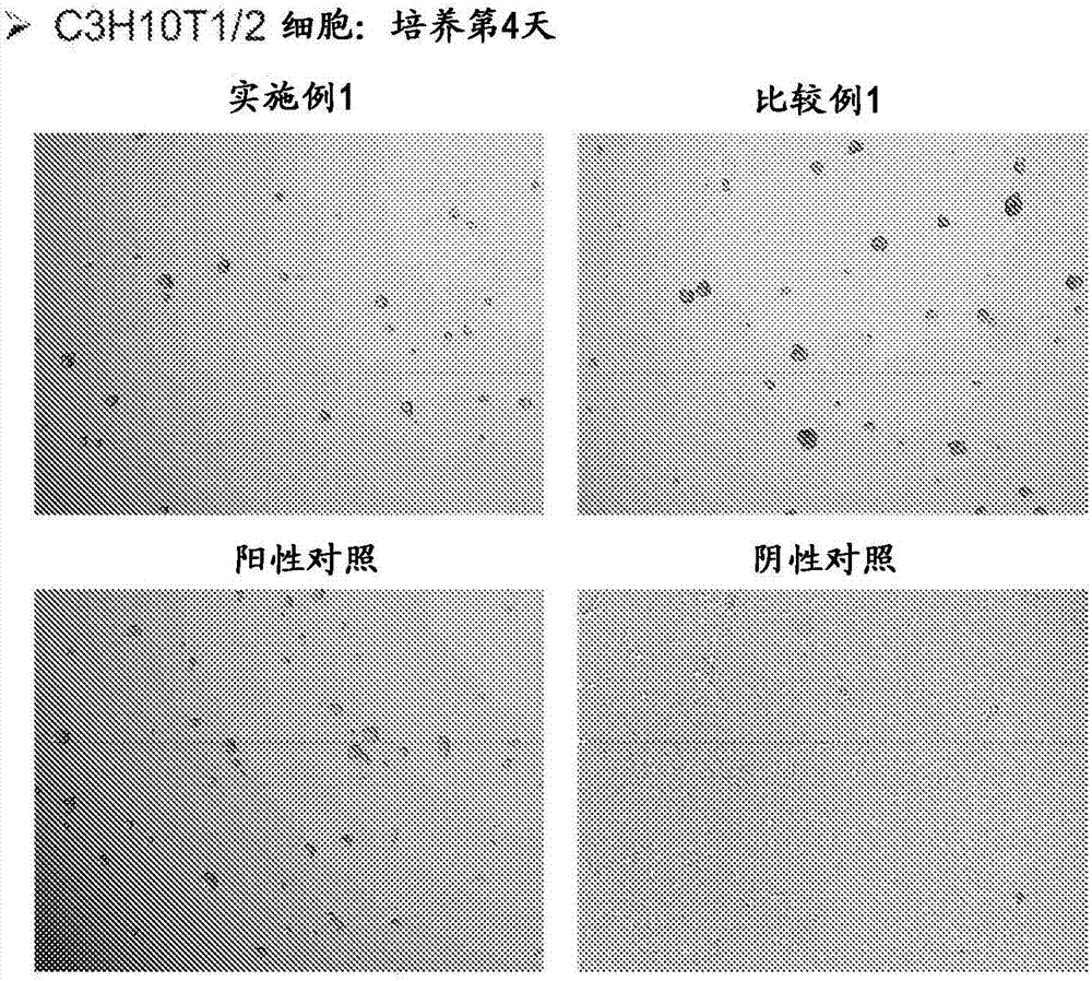 细胞培养容器的制作方法