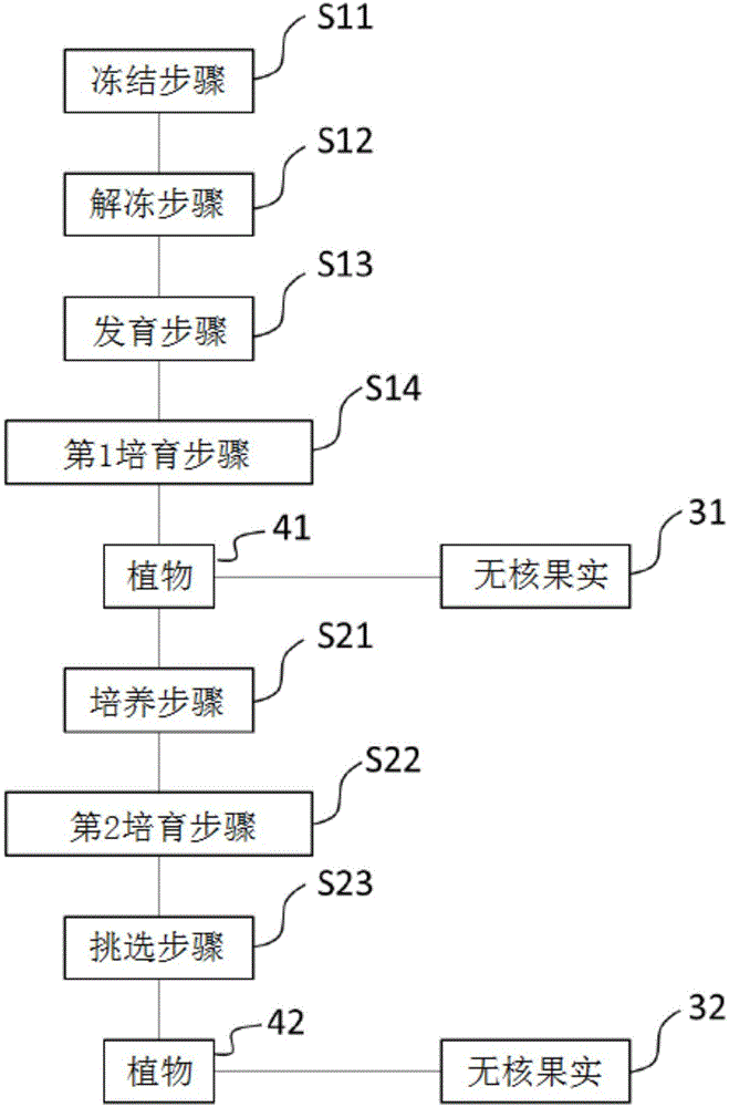 增强植物特性的方法及无核果实的生产方法与流程