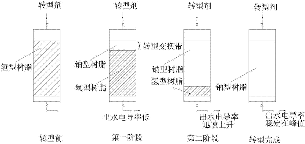 离子交换树脂的转型监测和控制装置的制作方法