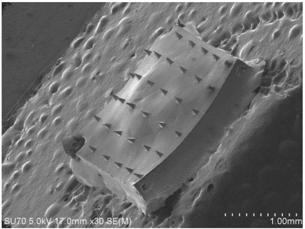 一种蚕丝微针电极及其制备方法与流程