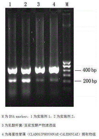 保湿修复组合物及其应用的制作方法