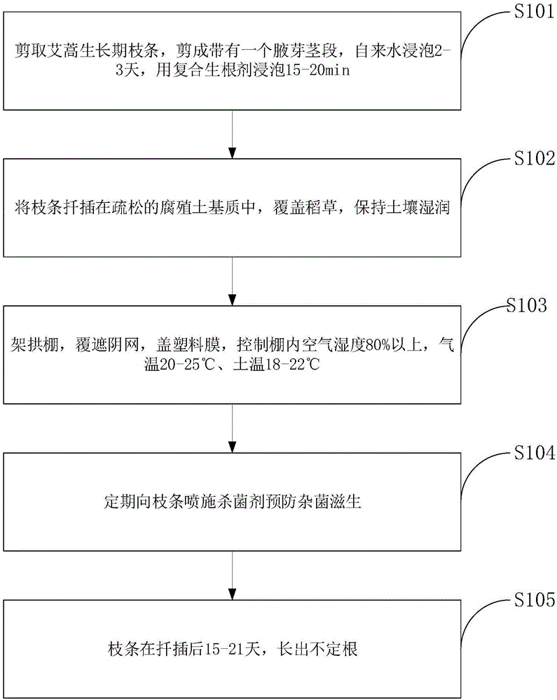 一种艾蒿扦插繁殖的方法与流程