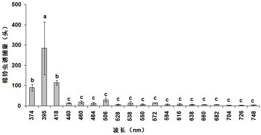 一种选择性诱捕棉铃虫成虫的方法与流程