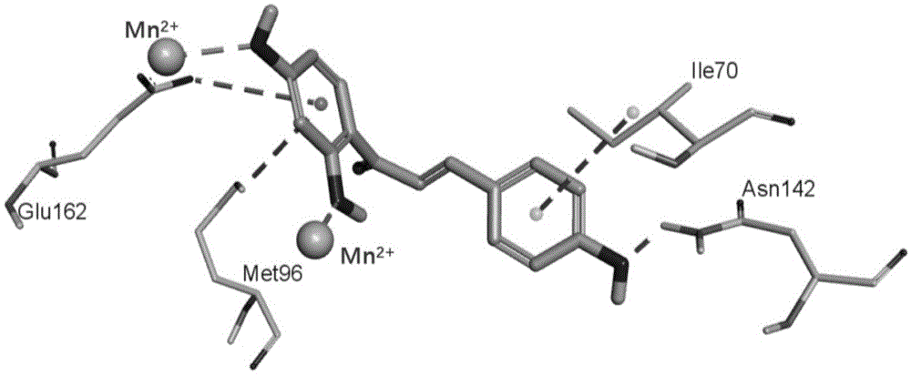 异甘草素在抑菌、干预生物被膜及治疗奶牛乳房炎中的用途的制作方法