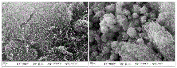 一种高效催化甲烷的碳纳米管－氧化锰复合材料及其制备方法与流程