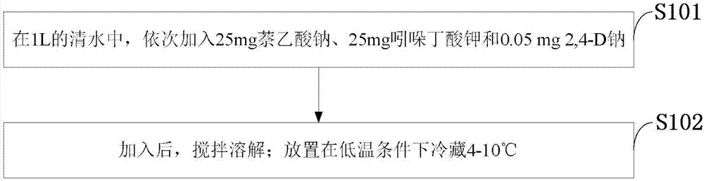 一种加快油茶小苗嫁接愈合的药物及配制和使用方法与流程