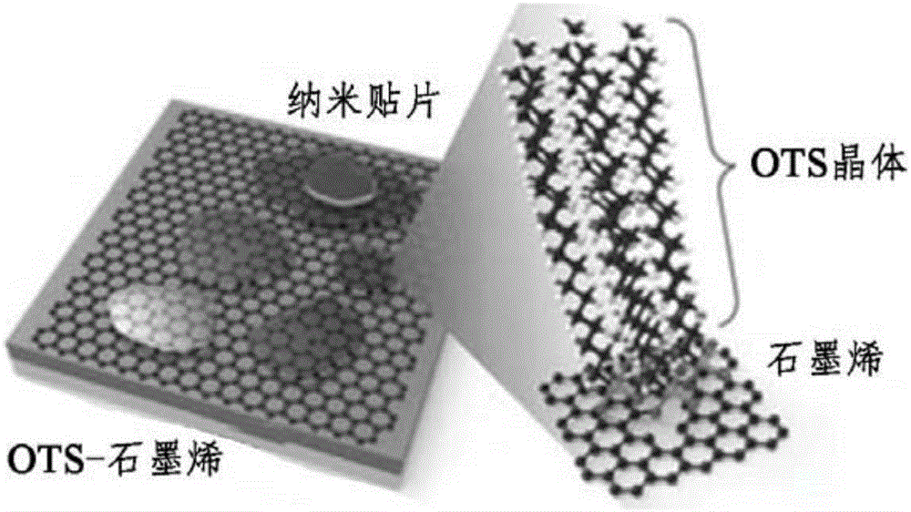 纳米贴片石墨烯组合物及其制造方法与流程