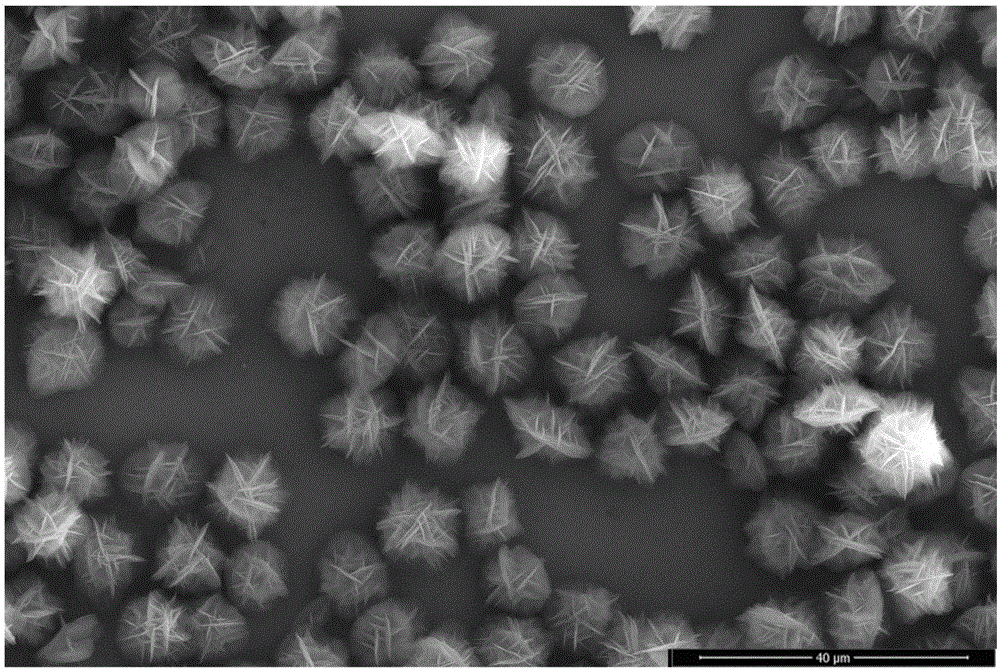 一种新型富勒烯衍生物微球的制备方法与流程