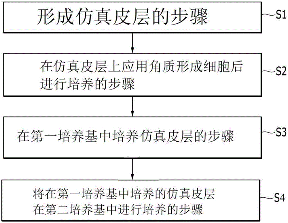 人造皮肤的制造方法及人造皮肤与流程