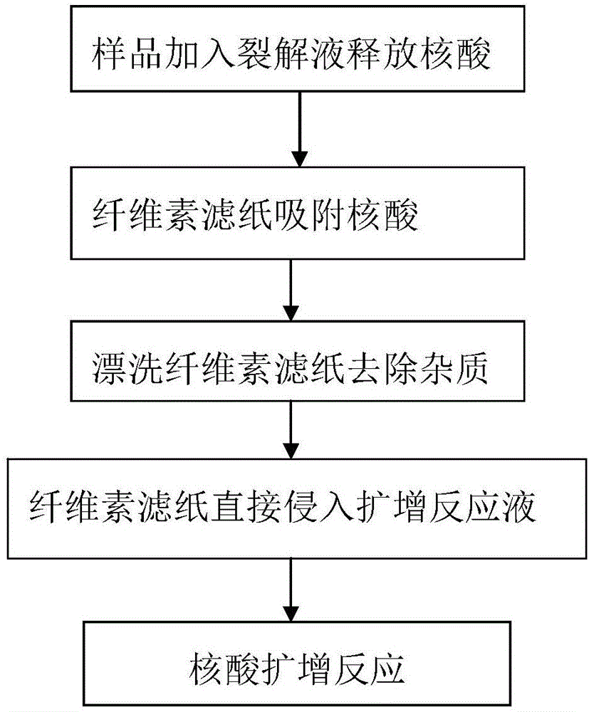 诊断的主要挑战是扩增前含核酸材料的预处理以及繁杂的核酸提取步骤